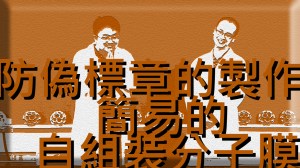 2013 創意實驗影片 – 防偽標章的製作&nbsp;簡易的自組裝分子膜