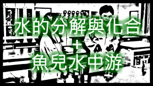 2012 創意實驗影片 – 水的分解與化合 &&nbsp;魚兒水中游