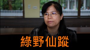 2013 KDP 自然與生活組特色標竿獎