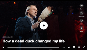 Kees Moeliker: How a dead duck changed my life&nbsp;一隻死鴨子如何改變我的一生