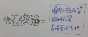 中興大學動物科學系作品-雞生長快速的原因