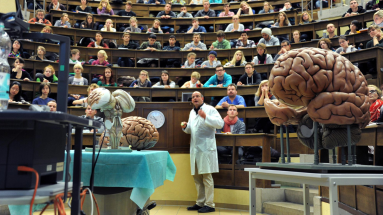 螢幕快照 2018-11-29 10.29.17