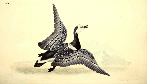 截圖 2020-03-03 17.12.44